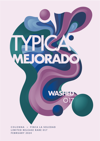 017 - Typica Mejorado Washed