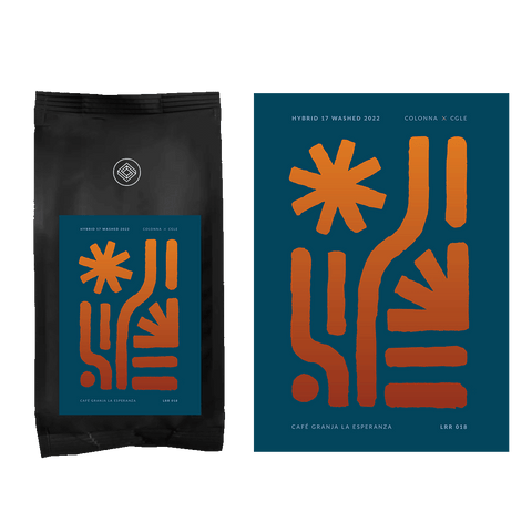 Limited Release Beans & Poster Bundle