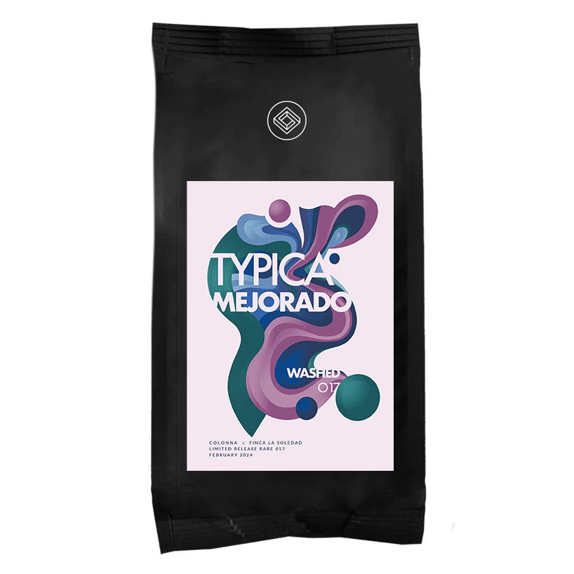 Photo of 017 Typica Mejorado Washed