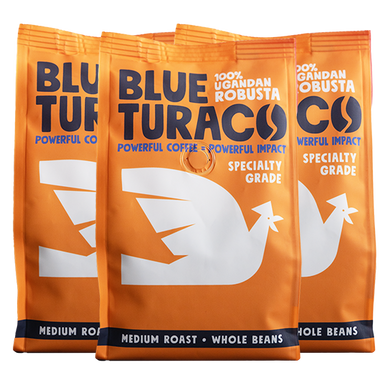 Blue Turaco 3 x 277g Bundle (Wholebean)