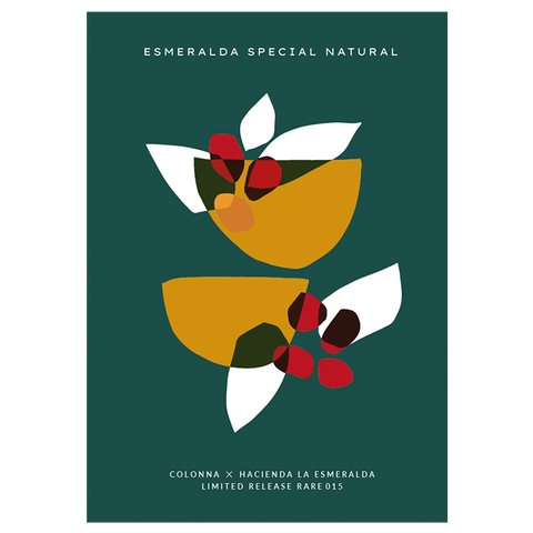 A2 Poster - Esmeralda Special Natural Gesha 015