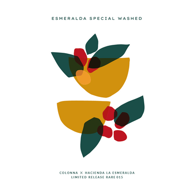 A2 Poster - Esmeralda Special Washed Gesha 015