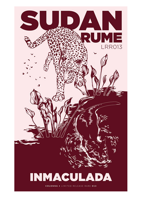 A2 Poster - Sudan Rume Inmaculada 013